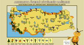 Türkiye Arıcılık Haritası